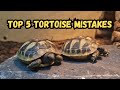 5 Dangerous Tortoise Care Mistakes Every Keeper MUST Avoid!