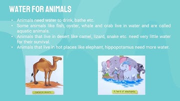Class - 3 Subject - EVS  Chapter - 14  Topic: Water- A Necessity