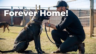 Inside the King's SPCA: A Live Rescue Mission