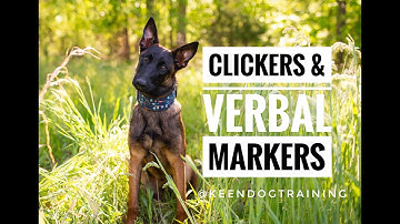 Clickers vs Verbal Markers: We Choose Both!