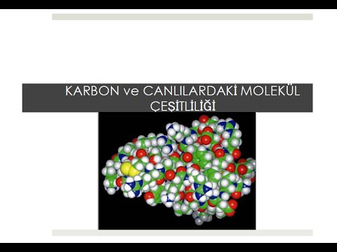 Video: Karbonun yapısı, canlılarda bulunan makromoleküllerin çeşitliliği ile nasıl ilişkilidir?