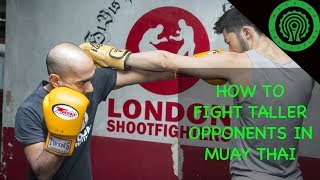 Muay Thai How to Fight Taller Opponents - Dismantling the Jab