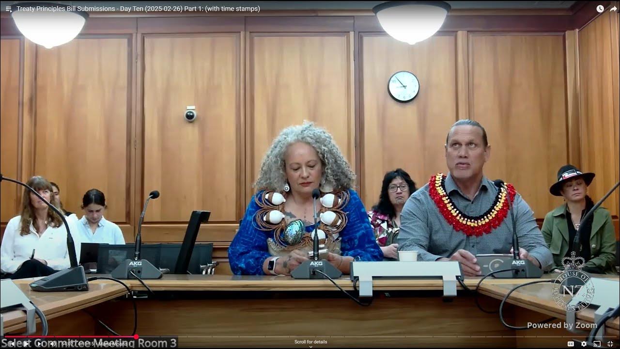 Treaty Principles Bill Submissions Day Ten (20250226) Part 1 YouTube