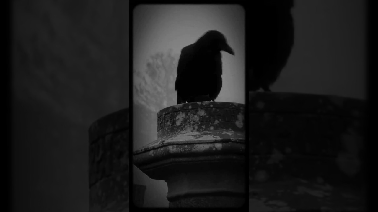 BLACK 🖤 ASWANG??? 