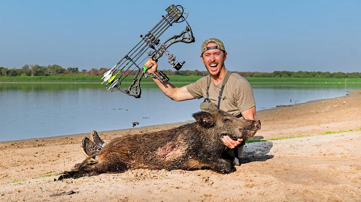 HUNTING HOGS ON THE BEACH! (Public Land Archery Hunt)