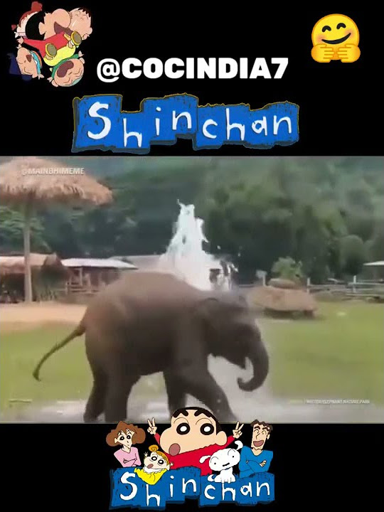 #PermissiontoDances Shinchan