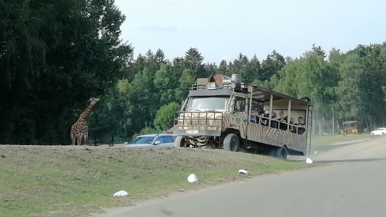 Meine Achterbahn Welt Safari mit Matthias | Dschungel-Safari-Tour Serengeti-Park | Fantreffen 2022