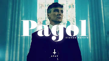 Pagol | Slowed Reverb | Lyrics Video Song | Deep Jandu Ft. Bohemia |Nostalgia