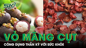 Ăn Măng Cụt Đừng Vứt Vỏ, Nó Có Công Dụng "Thần Kỳ" | SKĐS