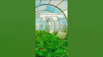 #القرآن_الكريم #foryou #fypシ #راحة_نفسية #ايات #صوت_جميل #تلاوة_هادئة #