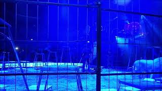 Circus Krone 2. Jubiläumsprogramm Vom 01.02.19 Bis 28.02.19 In Der Winterspielzeit 2019 Teil 12- 18