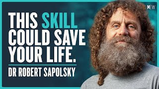 The Shocking New Science Of How To Manage Your Stress  Dr Robert Sapolsky | Modern Wisdom 693
