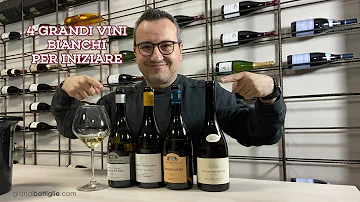 Quali sono i vini bianchi secchi?