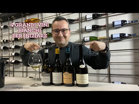 Video: Una Guida Ai Vini Bianchi Italiani Meno Conosciuti