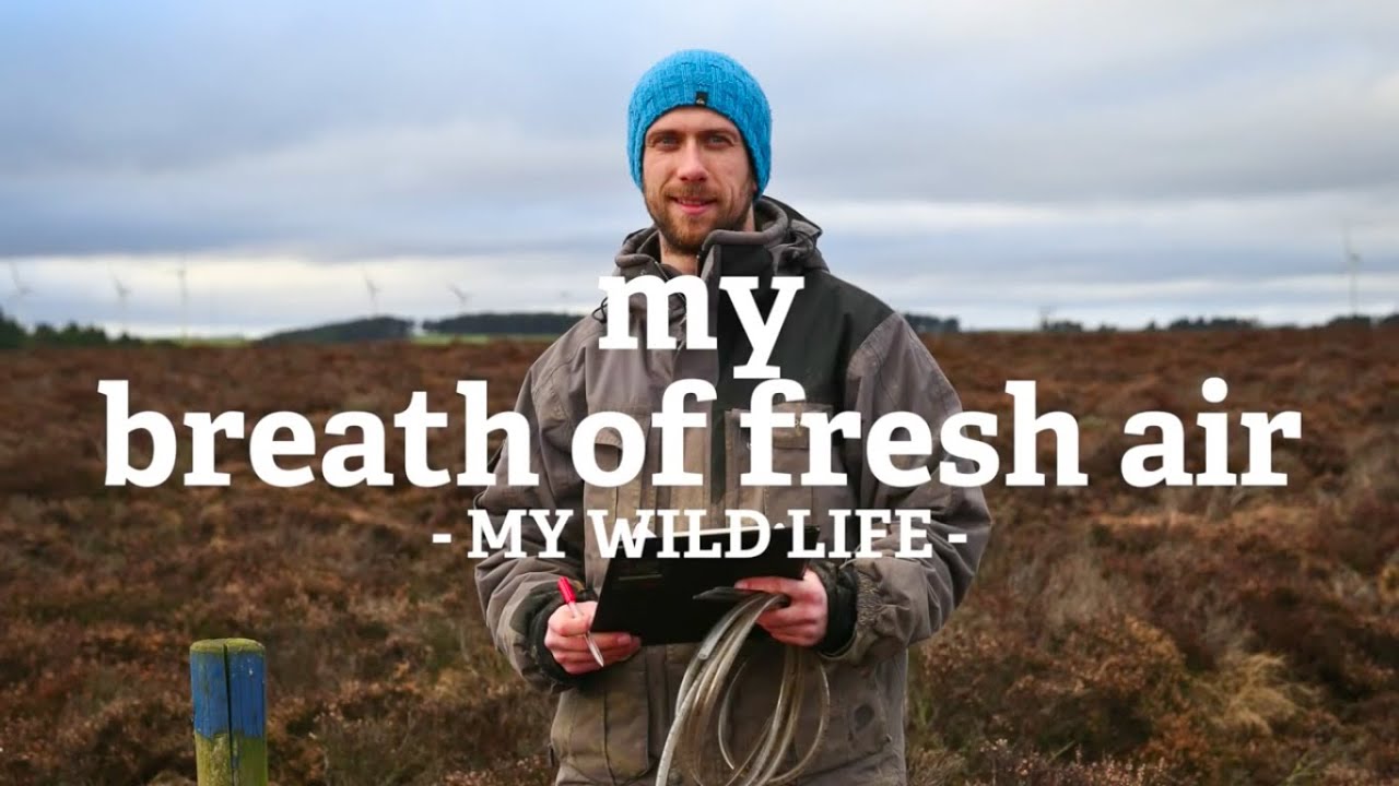 living proof My Breath of Fresh Air - Michael, Stanley Moss, Durham