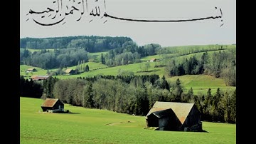 القرآن الكريم سورة الزمر  القارئ سهيل زارع
