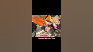 “ Sóc Đất 🦶👉 Biên Hoà , Thuận An 🩵Trương Tuấn  Sóc Cảnh