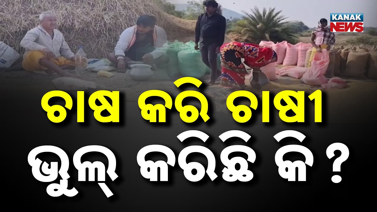 Farmers’ Ordeal Continues in Ganjam as Paddy Remains Unsold Due to Mandi Mismanagement