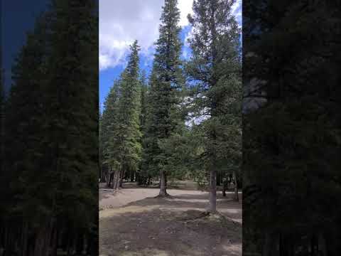 Vídeo: Bragg Creek é um parque provinciano?