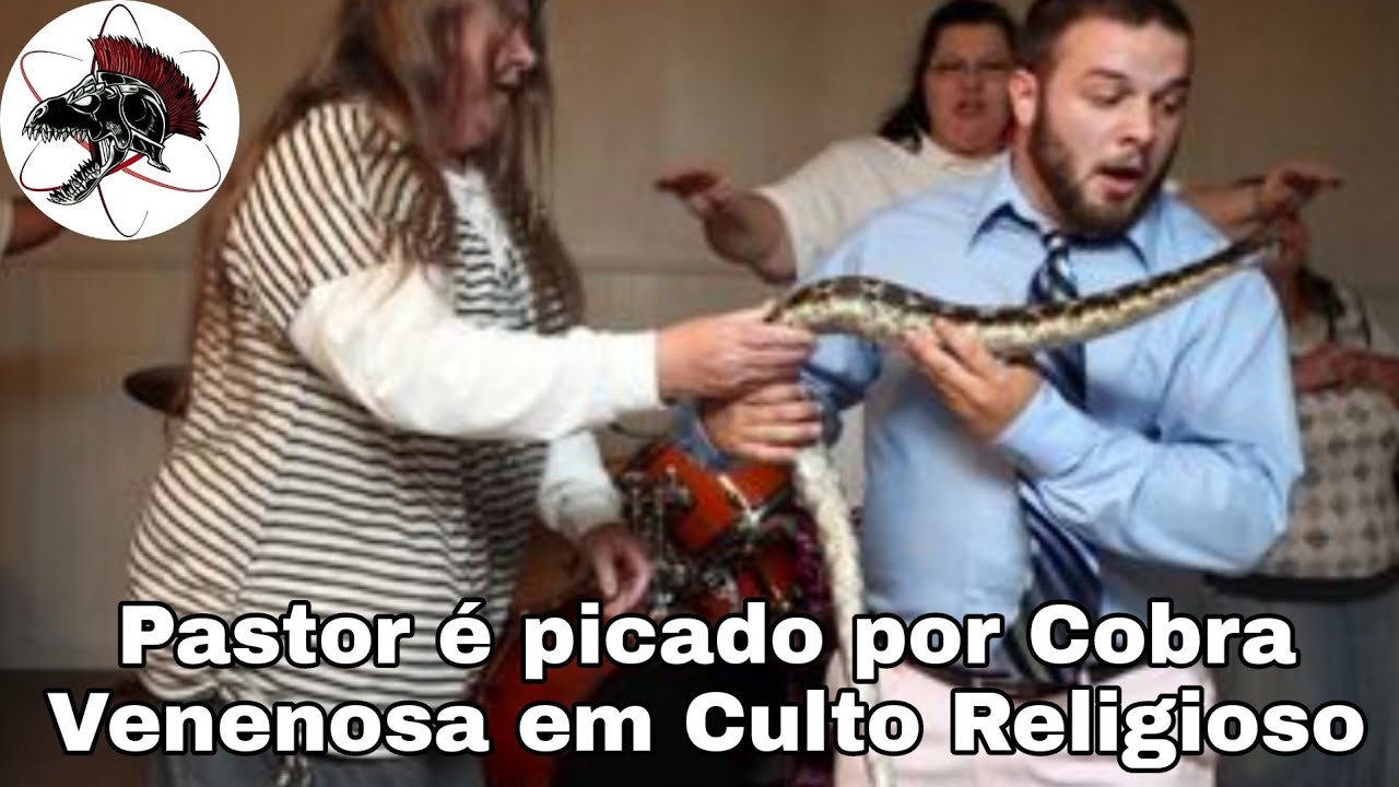 Pastor é picado por Cobra Cascavel em Culto | Biólogo Henrique o Biólogo das Cobras