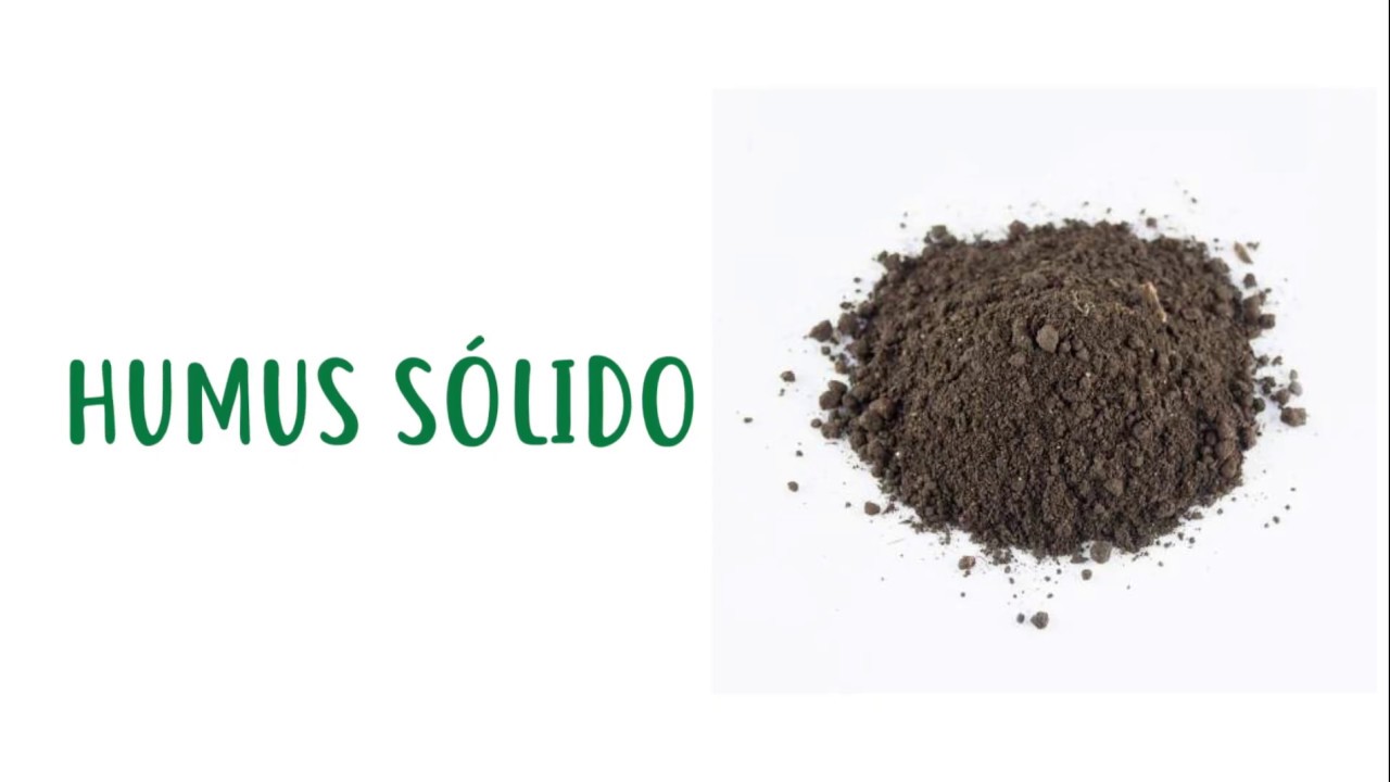 Humus sólido de lombriz roja californiana - YouTube