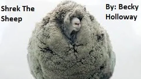 Shrek the Sheep Becky Holloway