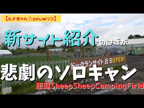 【北海道キャンプ　悲劇のソロキャンプ。新しいサイトとギア紹介もあります。ルナきゃん☆plusリン（SheepSheepCampingField）】