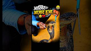 🥹❤️ जाल में फंसा नाग... आखिर आज़ाद हुआ! 🐍#shorts #snake