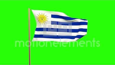 Uruguay Flag Waving In The Wind. Green Screen, Alpha Matte. Loopable Animation Stock Animation