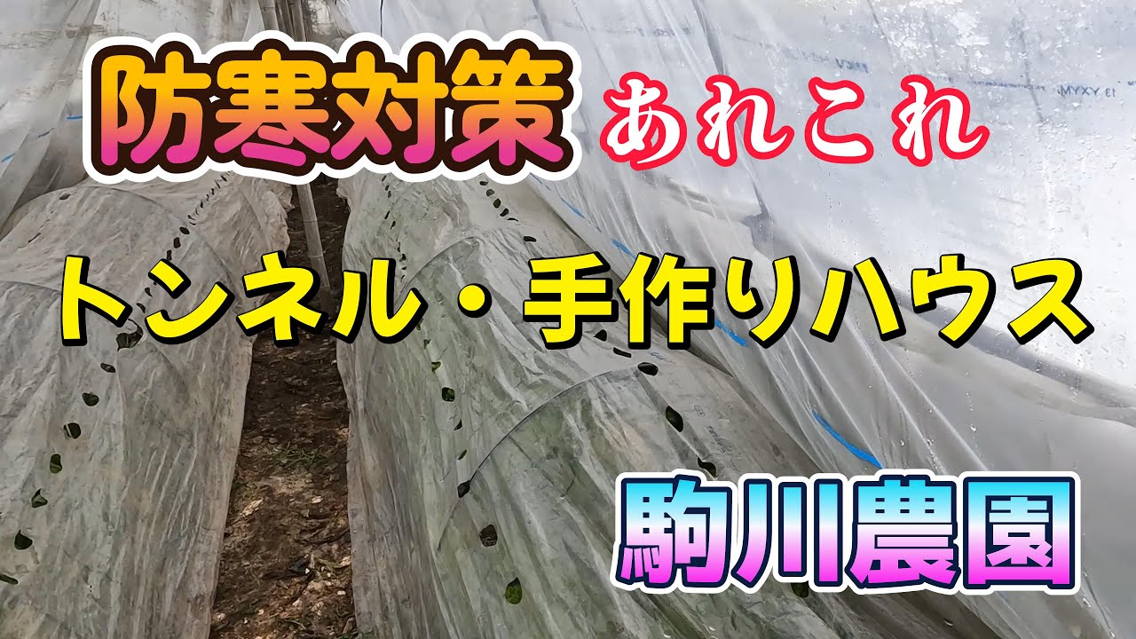防寒対策あれこれ　駒川農園　26.1.8