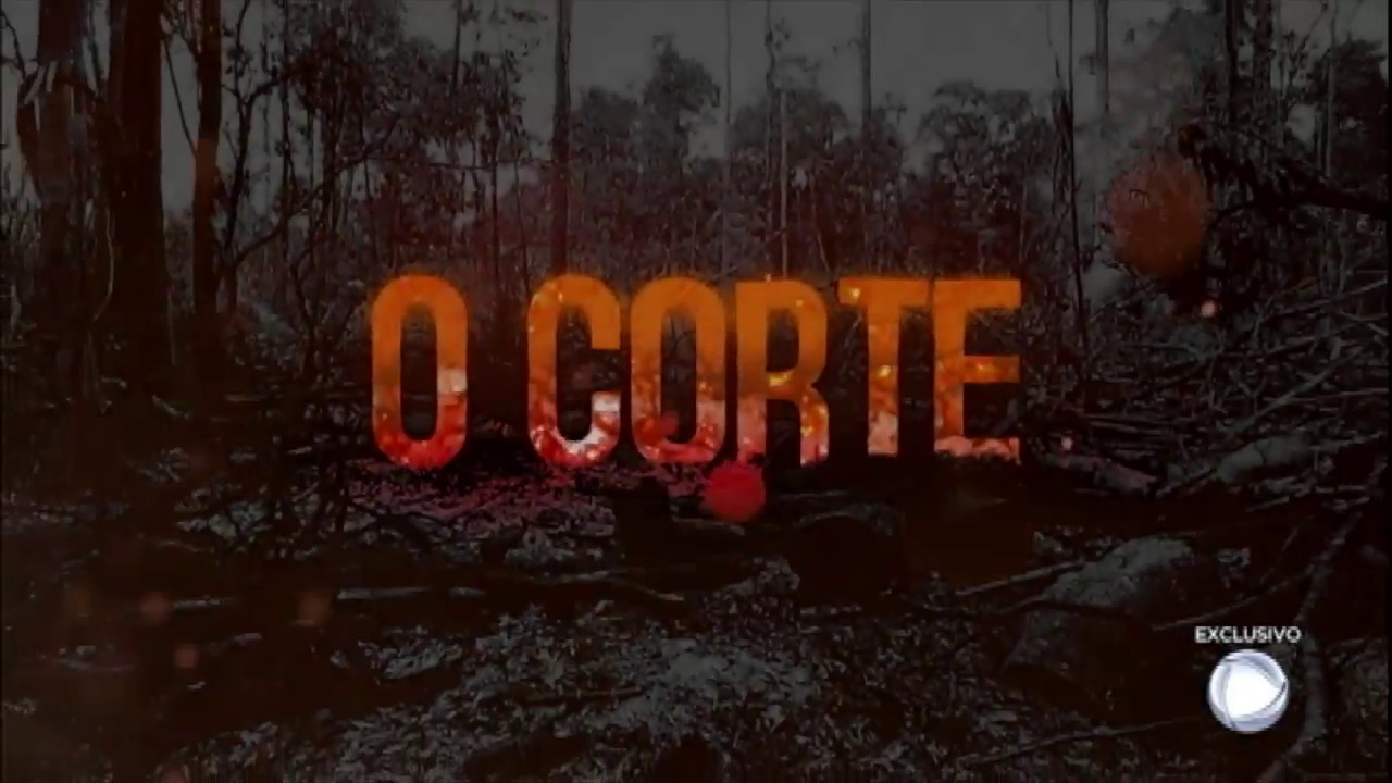video phone beyonce mp3 Câmera Record mostra a destruição provocada pela produção ilegal de carvão na Floresta Amazônica