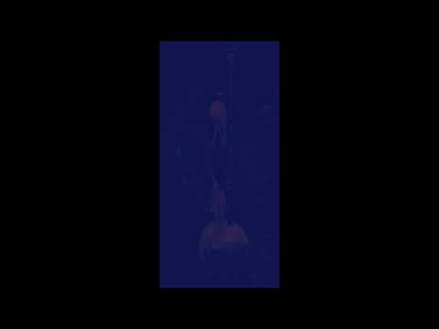 FuLA - გადი გონს/Gadi Gons