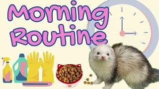 My Ferret Enclosure MORNING ROUTINE: Behind the Scenes!
