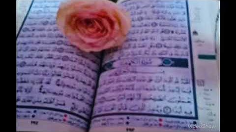 سورة يونس بصوت الشيخ نبيل الرفاعي