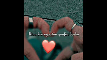 Walaloo Jaalalaa 