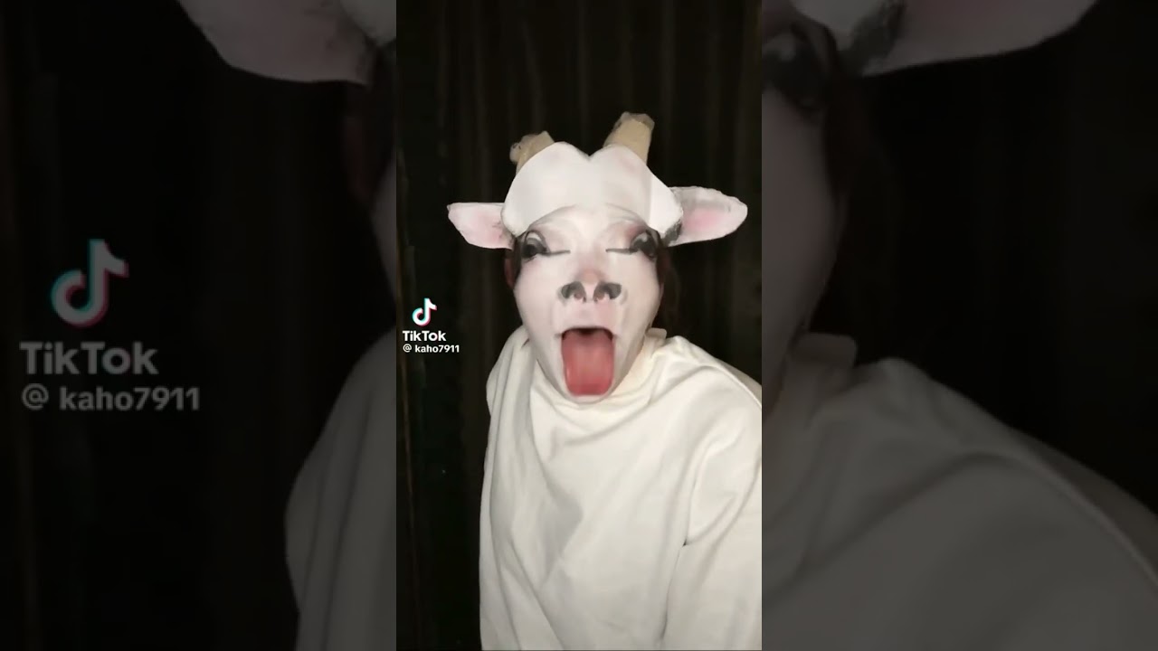 Goat and huh cat meme