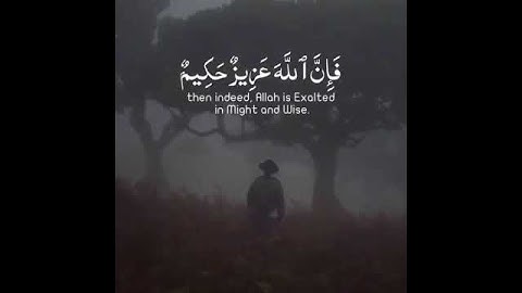 { وَمَن يَتَوَكَّلْ عَلَى اللَّهِ فَإِنَّ اللَّهَ عَزِيزٌ حَكِيمٌ } ياسر الدوسري سورة الأنفال - 49