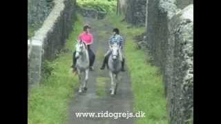 Rid & Rejs - Azorerne