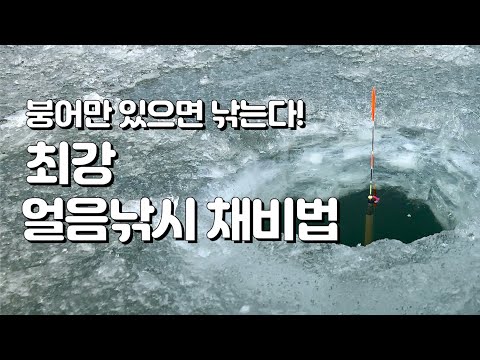 붕어낚시, 검증된 최고의 <strong>얼음낚시</strong> 채비법 따라하기
