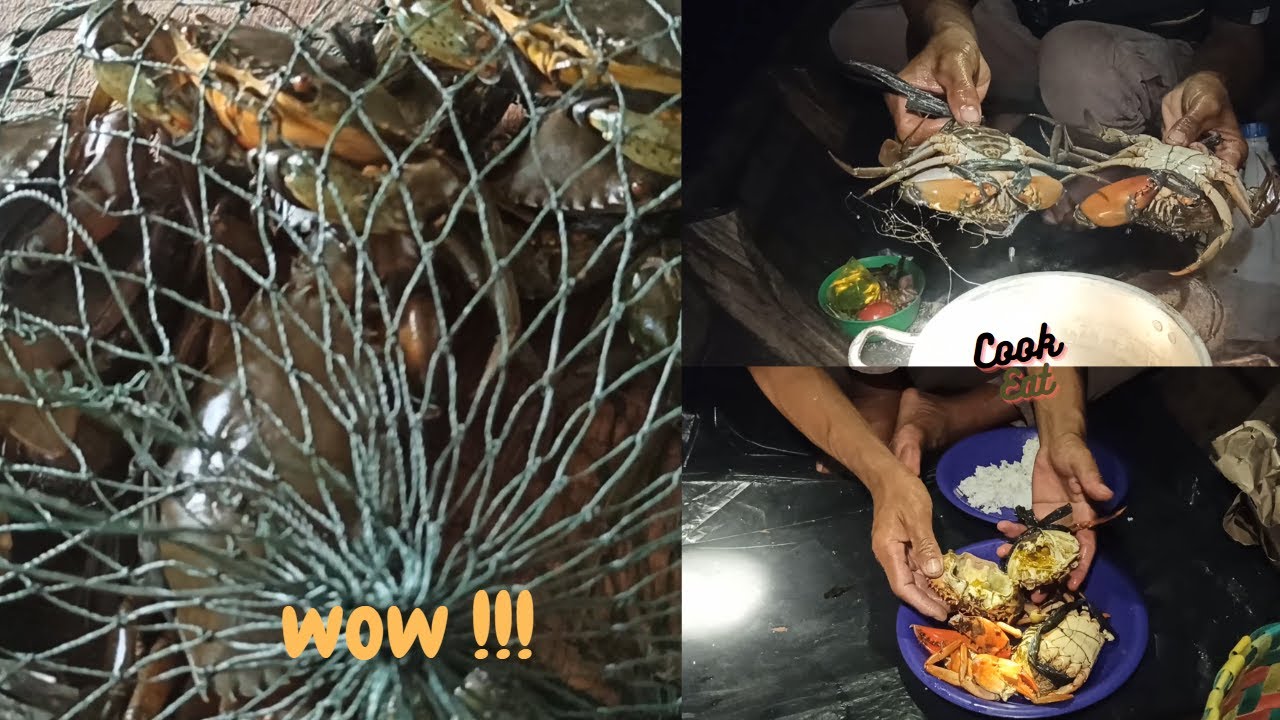 Day 20 Hunt cook And Eat Crabs Hunt During The Day Eat Crabs At day-20-hunt-cook-and-eat-crabs-hunt-during-the-day-eat-crabs-at