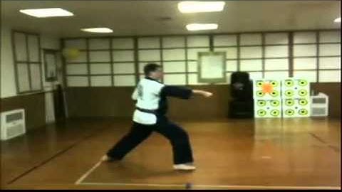 Tang Soo Do Moo Sa Do Kwans Basic Form 2