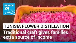Tunisia flower distillation: Traditional craft gives families extra source of income • FRANCE 24
