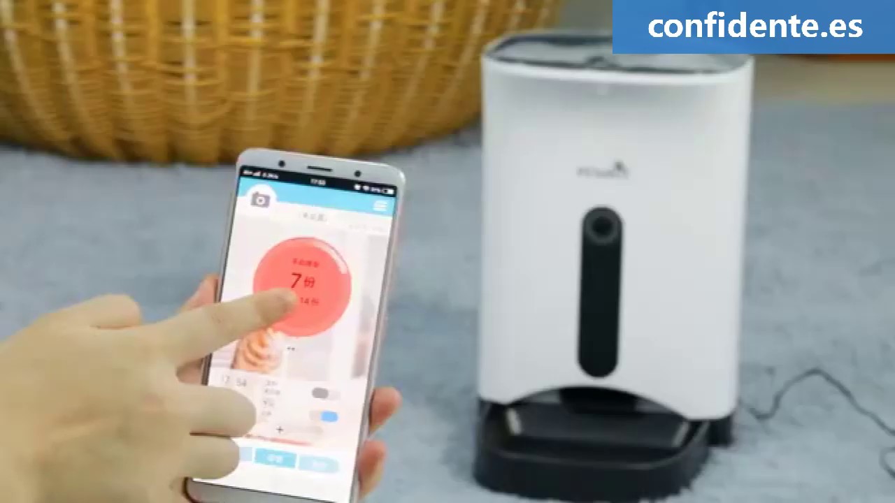 Best Automatic Cat Dog Feeder With Camera Science Automatic Feeder For Cat And Dog Youtube