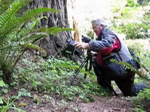 macro flash photography technique