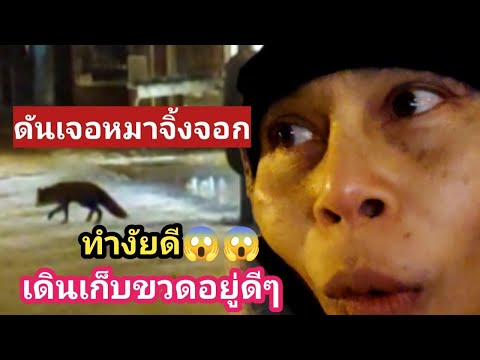ผลสลากกินแบ่งรัฐบาล วันที่ 1 พย. 2567