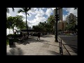 ホノルル動物園　Honolulu Zoo　旅行（2010年撮影）