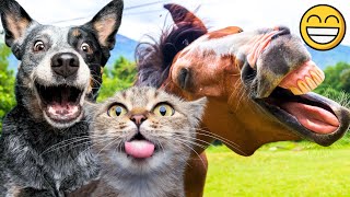 Funny animals videos  Best Crazy Moments And Fails ❗