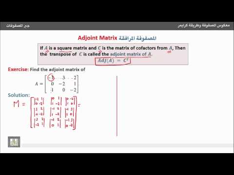 فيديو: لماذا تستخدم المرافقة؟