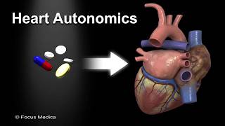 Drugs that affect the autonomics of the heart