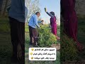 بابا مندلی زهرا دختر مندلی روستا روستای مشهد سبزوار قوچان حمیدکیوانلو محسن میرزازاده